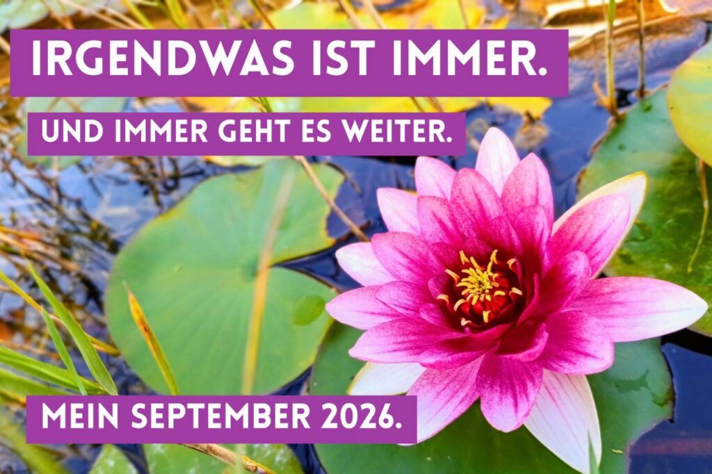 Seerose Irgendwas ist immer